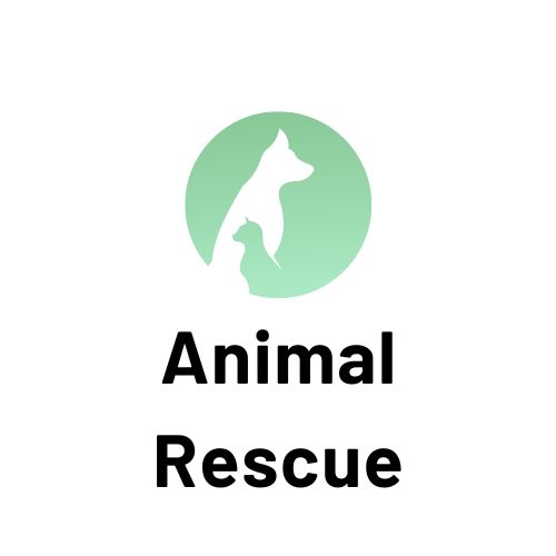 Dundalk Dog Rescue